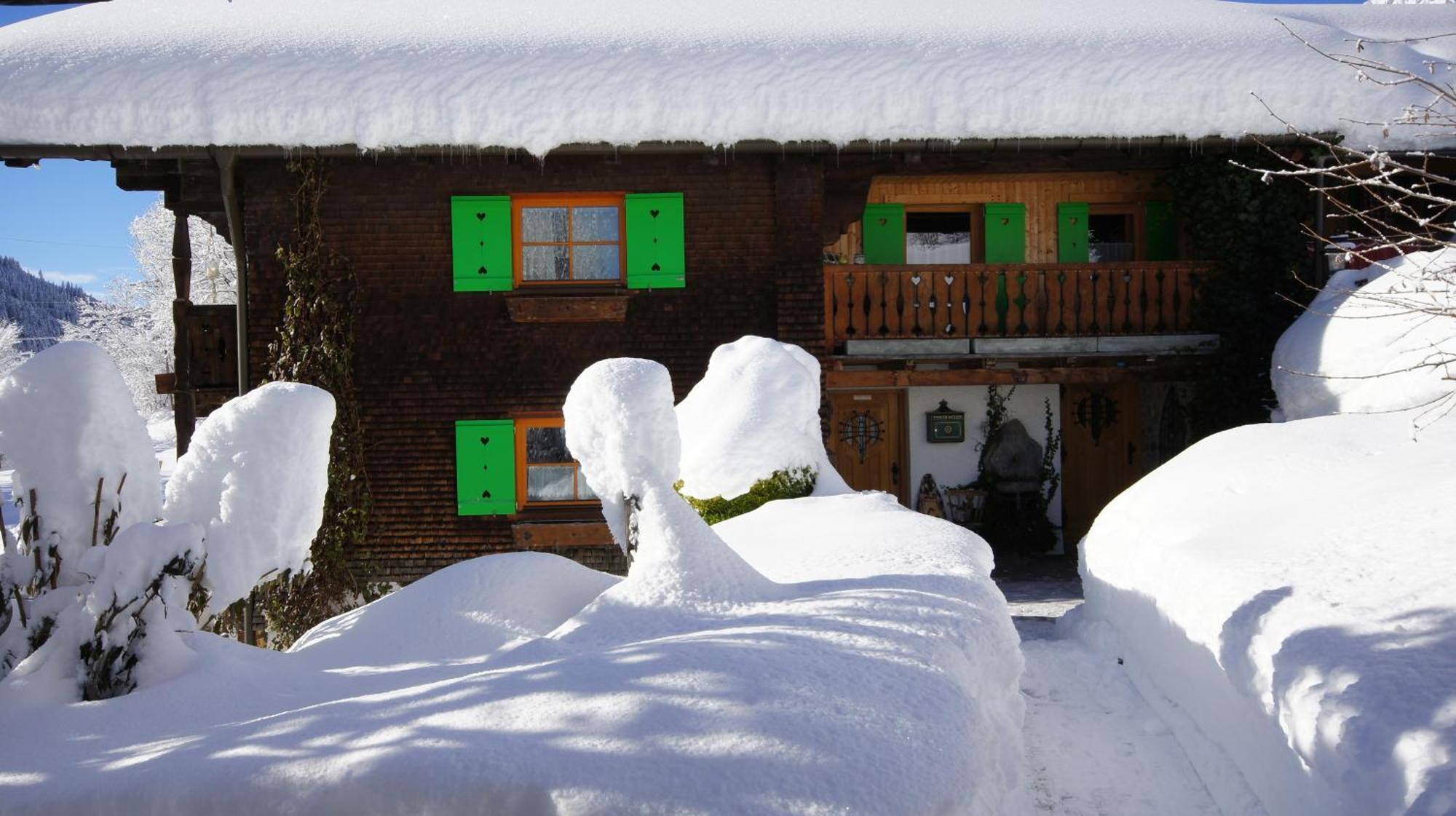 Haus Aelpele Apartman Klosterle am Arlberg Kültér fotó